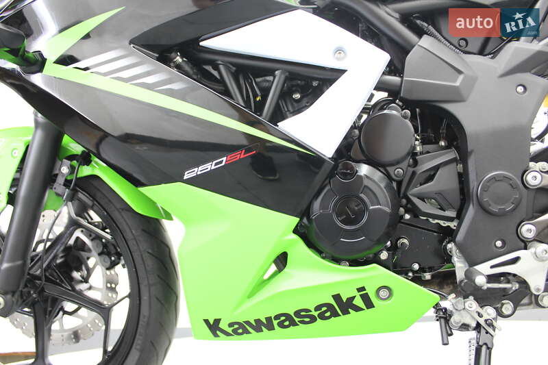 Спортбайк Kawasaki Ninja 250 2015 в Гнівані фото 23 Спортбайк Kawasaki Ninja 250 2015 в Гнівані