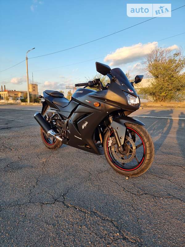 Спортбайк Kawasaki Ninja 250R 2010 в Днепре