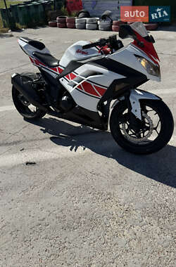 Спортбайк Kawasaki Ninja 300 2016 в 