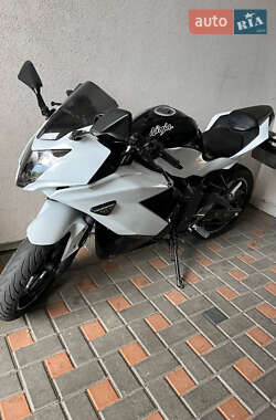 Спортивные снегоходы Kawasaki Ninja 2015 в 