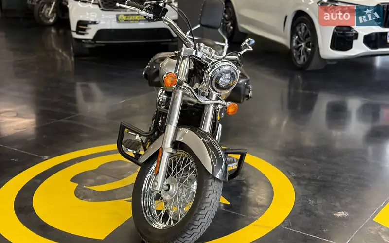 Kawasaki VN 900 2020