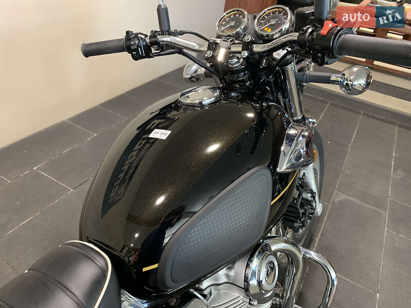 Мотоцикл Классік Kawasaki W 800 2025 в Львові фото 16 Мотоцикл Классік Kawasaki W 800 2025 в Львові