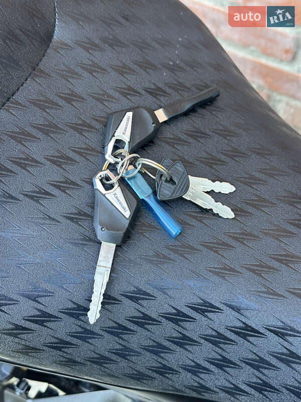 Мотоцикл Без обтекателей (Naked bike) Kawasaki Z 1000 2020 в Нежине