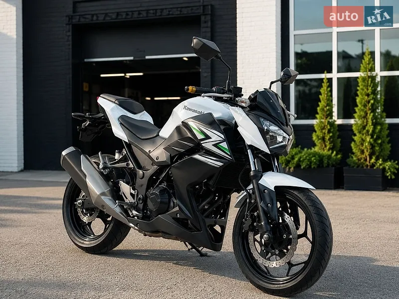 Kawasaki Z 250 2013
