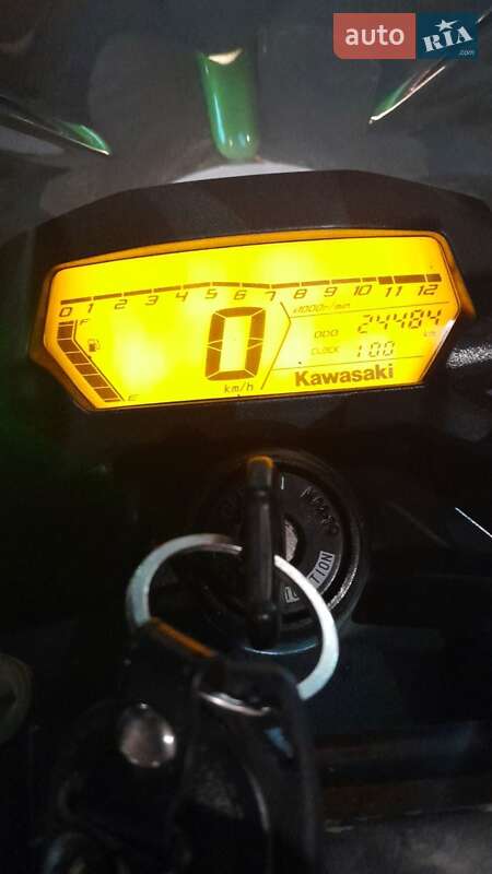 Kawasaki Z 250SL 2016