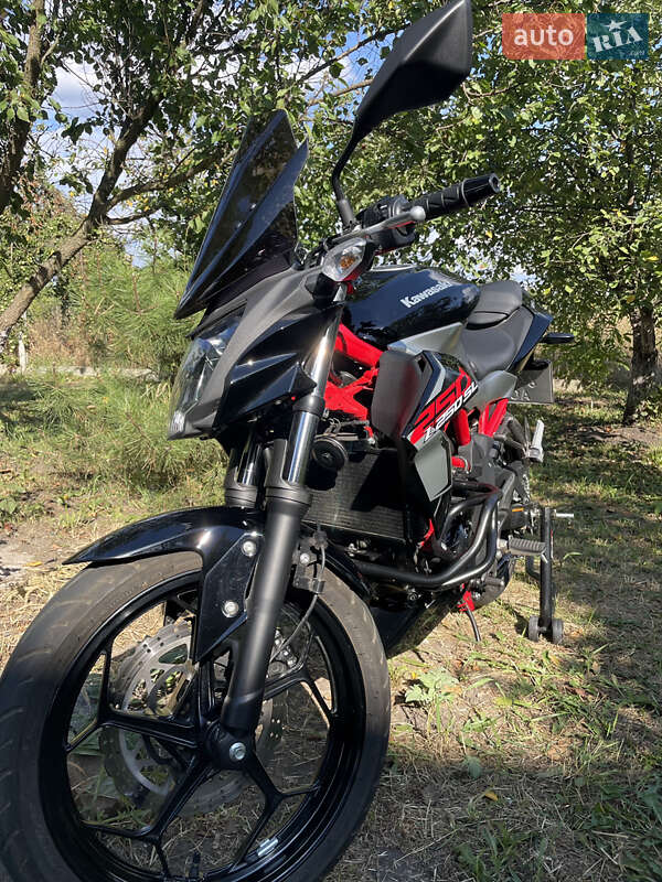 Мотоцикл Без обтекателей (Naked bike) Kawasaki Z 250SL 2018 в Орловщине