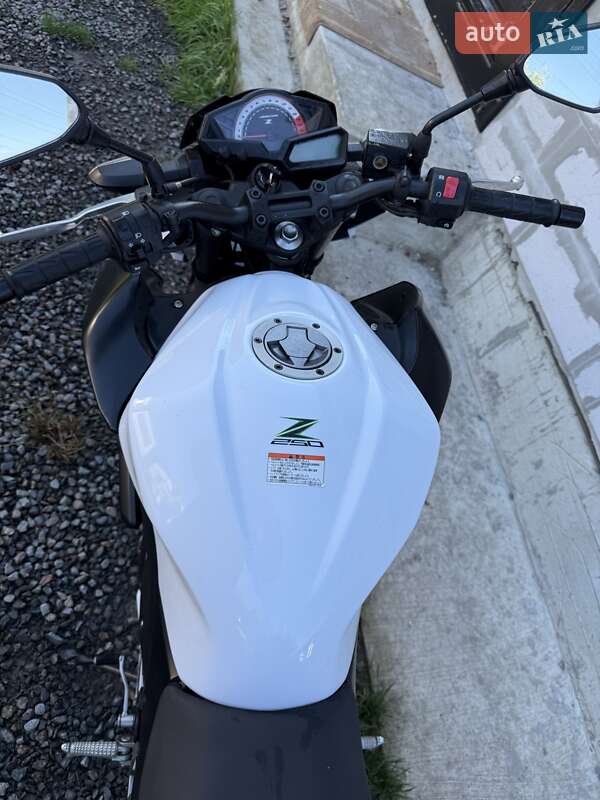 Спортбайк Kawasaki Z 250SL 2014 в Львове