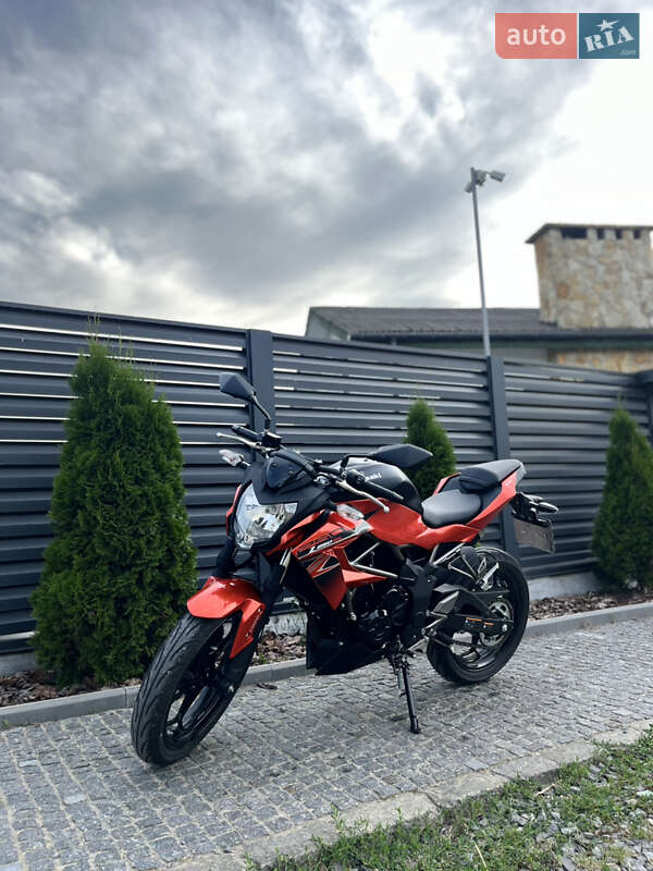 Kawasaki Z 250SL 2016