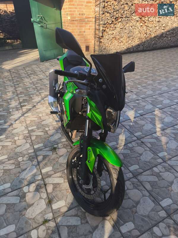Kawasaki Z 250SL 2017
