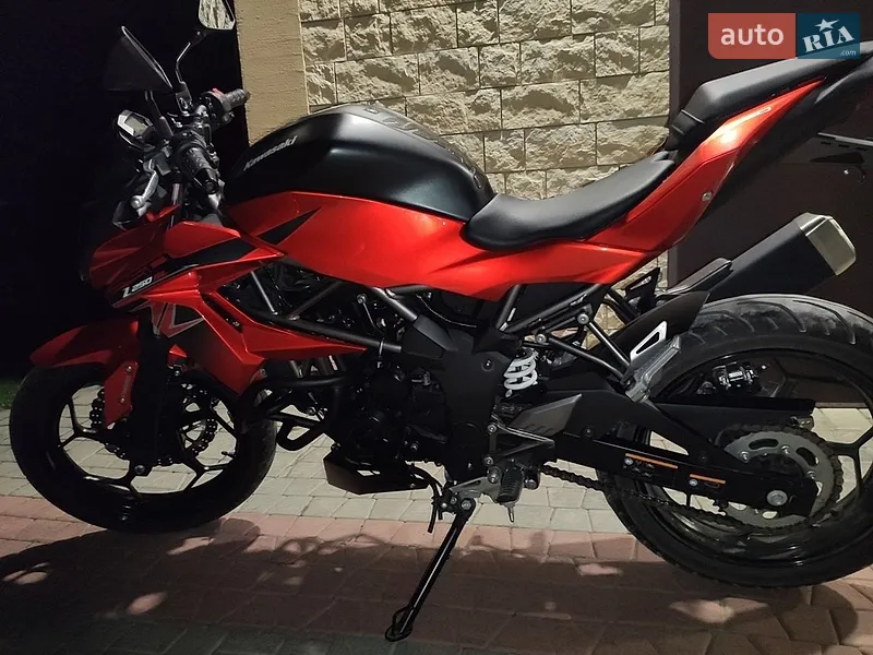 Kawasaki Z 250SL 2016 VIN MH4BR250EFJP40549 фото оголошення 4 з 19