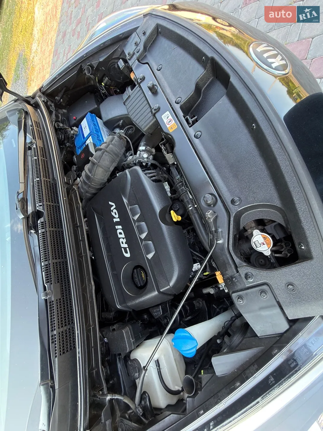 2013 Kia Carens - мініатюра 24