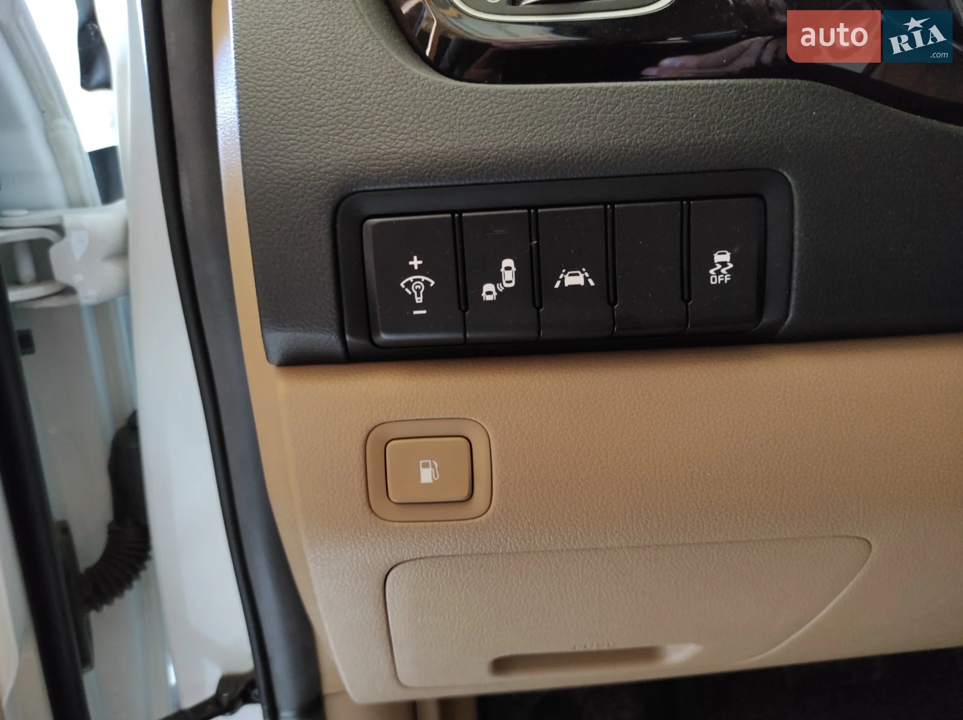 2018 Kia Carnival - мініатюра 30