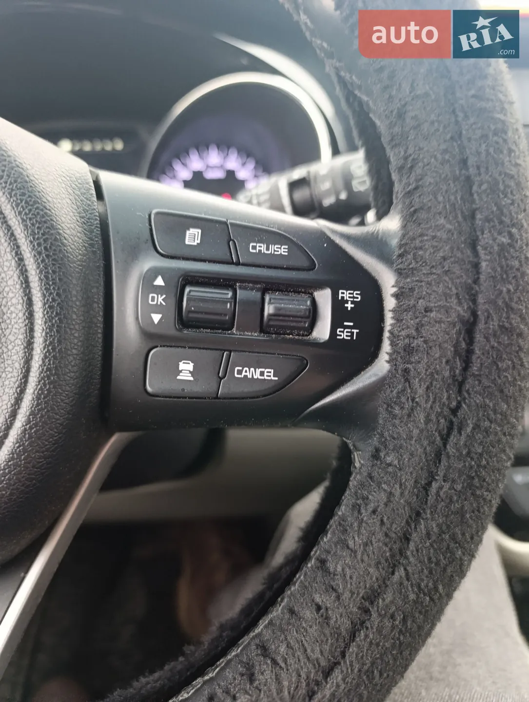 2017 Kia Carnival - мініатюра 45