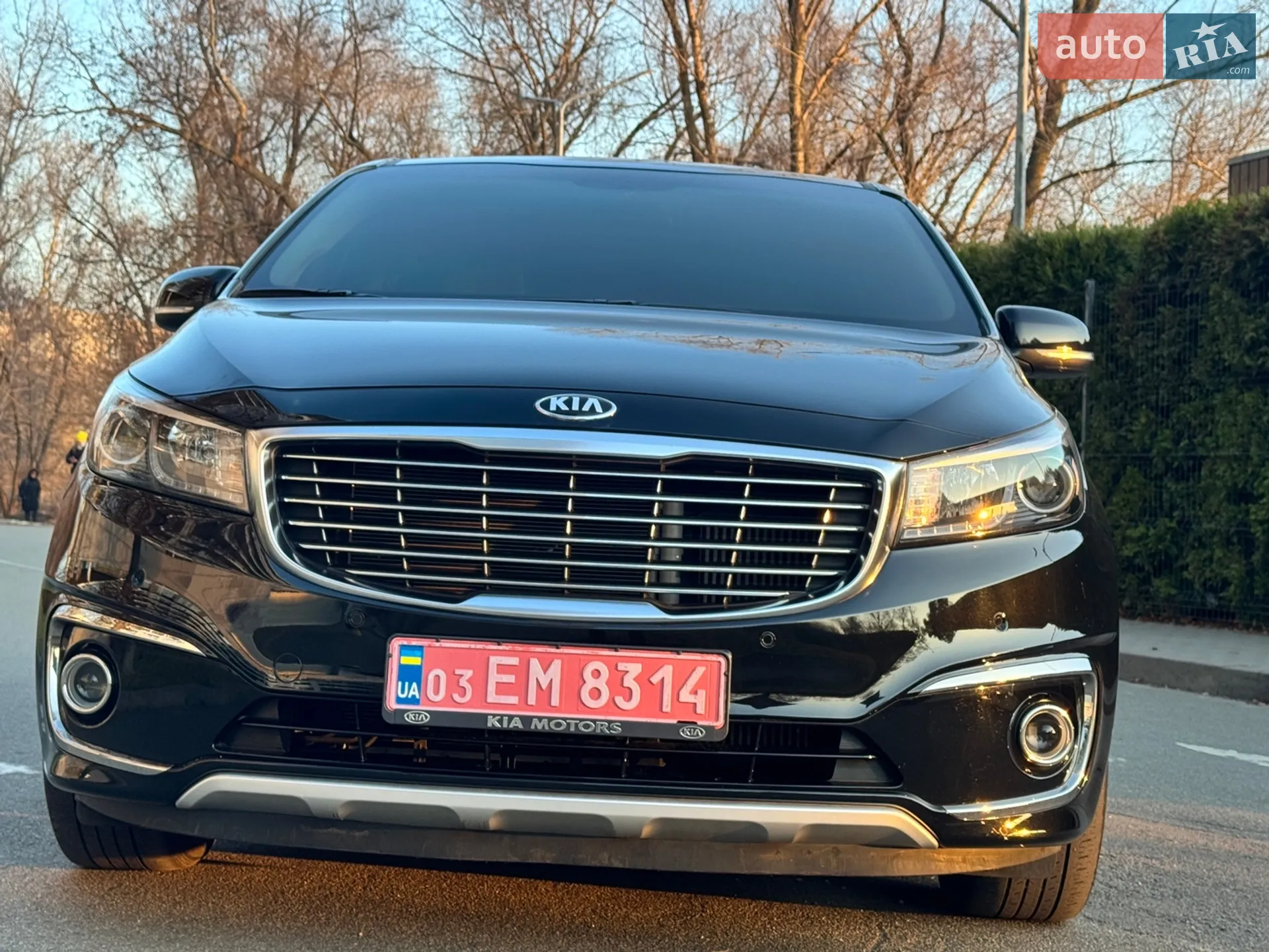 2018 Kia Carnival - мініатюра 12