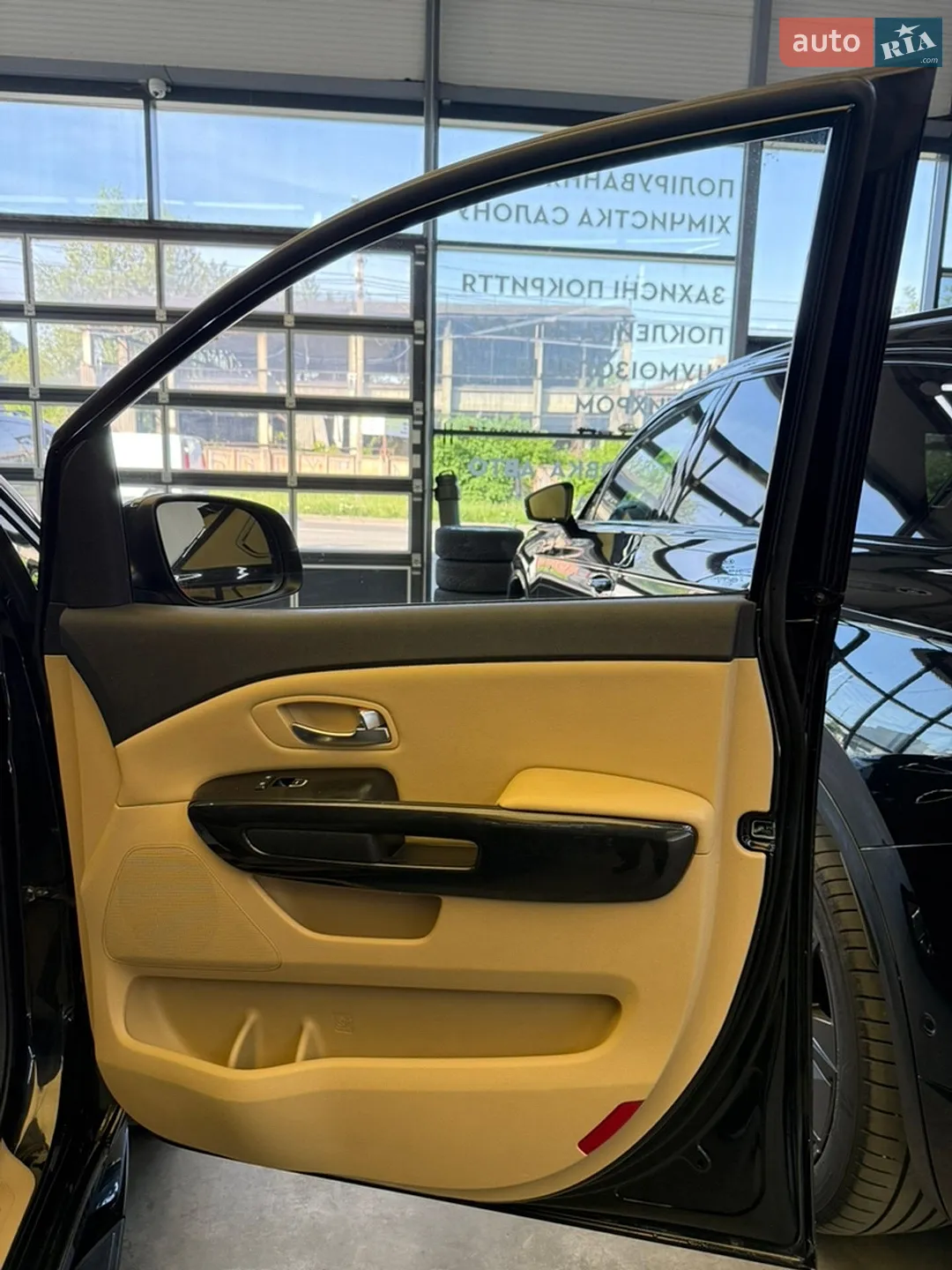 2014 Kia Carnival - мініатюра 20