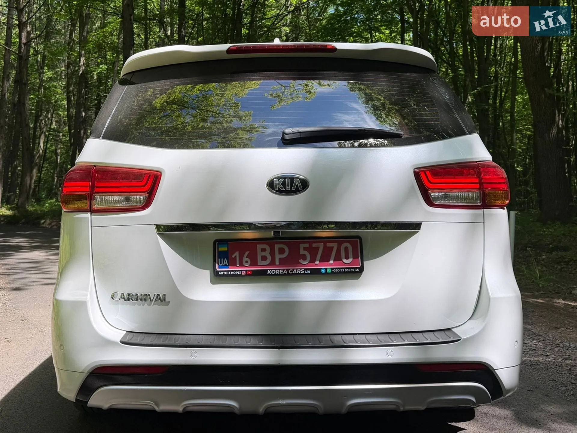 2018 Kia Carnival - мініатюра 9