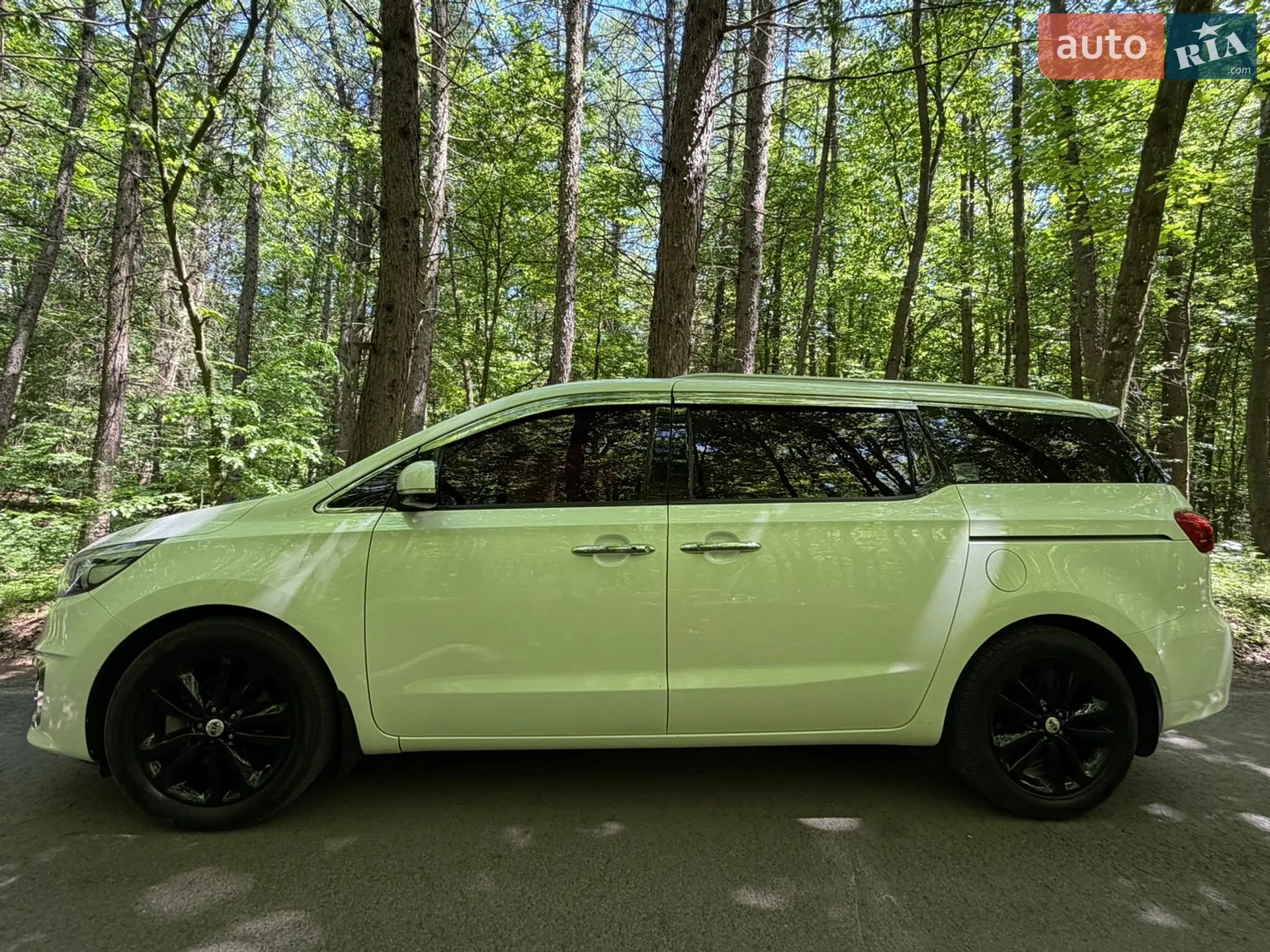 2018 Kia Carnival - мініатюра 5
