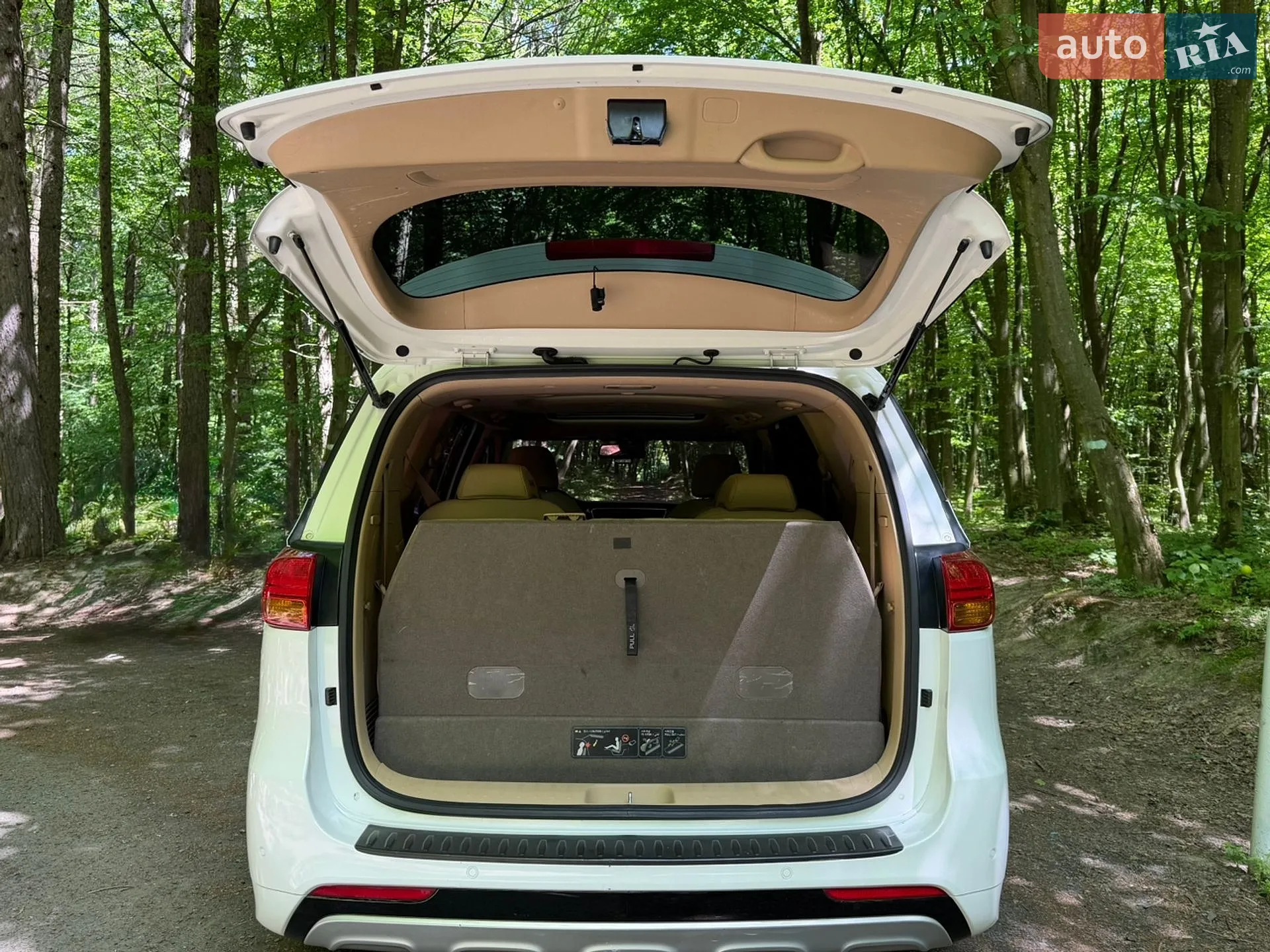 2018 Kia Carnival - мініатюра 14