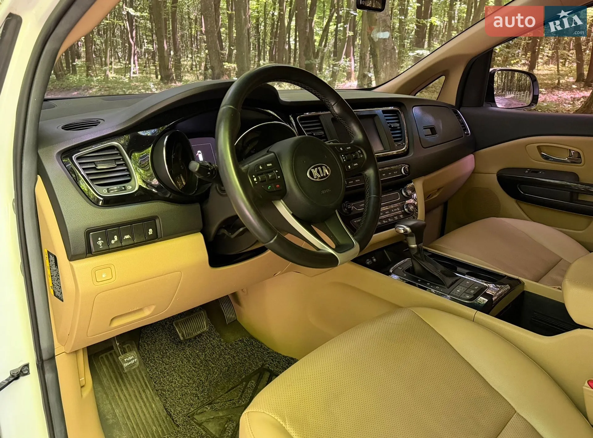 2018 Kia Carnival - мініатюра 19