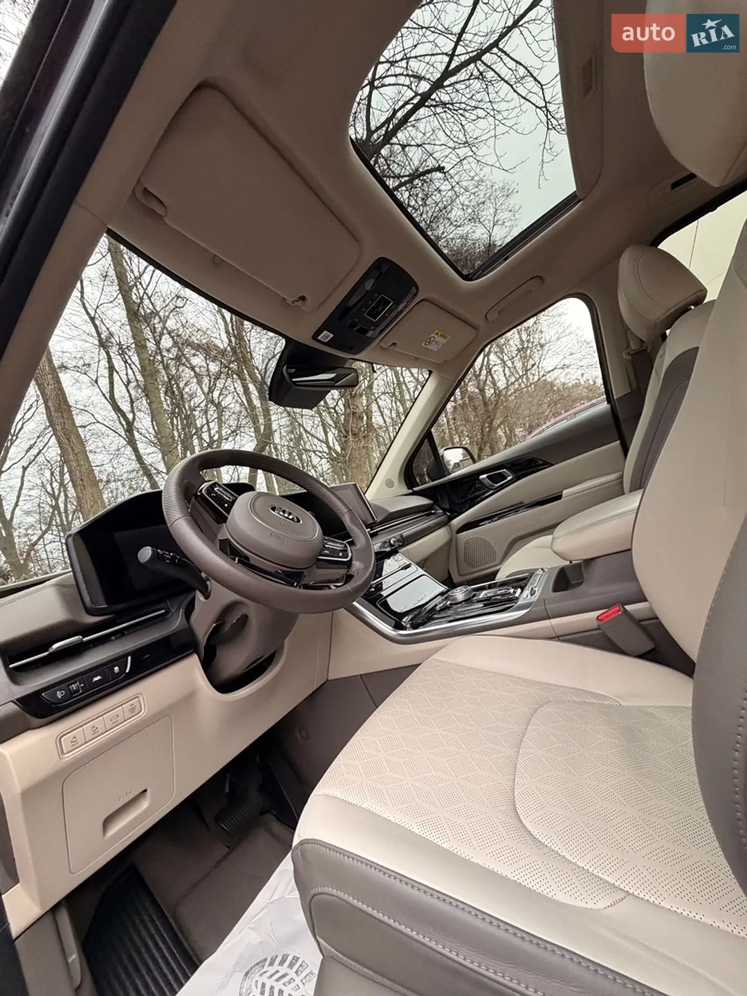 2020 Kia Carnival - мініатюра 4