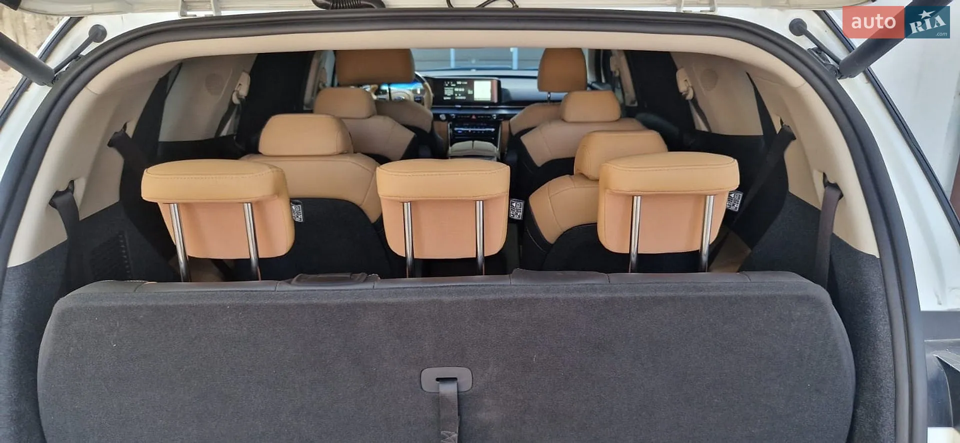 2021 Kia Carnival - мініатюра 25