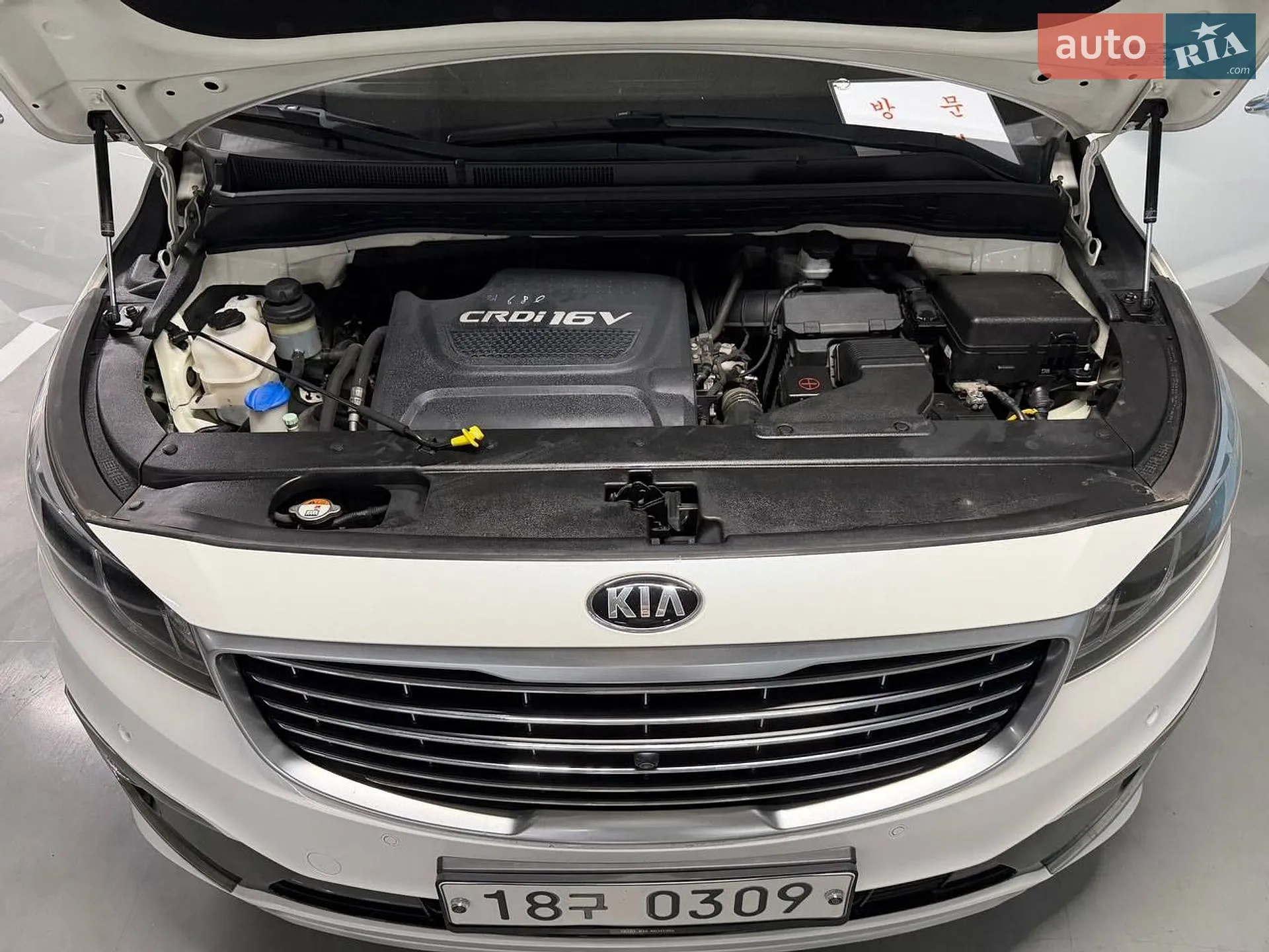 2017 Kia Carnival - мініатюра 4