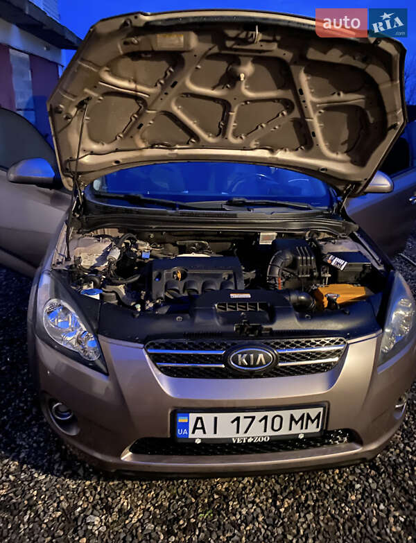 Хэтчбек Kia Ceed 2008 в Киеве фото 18 Хэтчбек Kia Ceed 2008 в Киеве