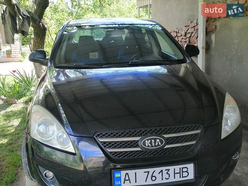 2008 KIA Ceed, VIN Y6LFF24128L004894:plate — фото 1 (autoria)