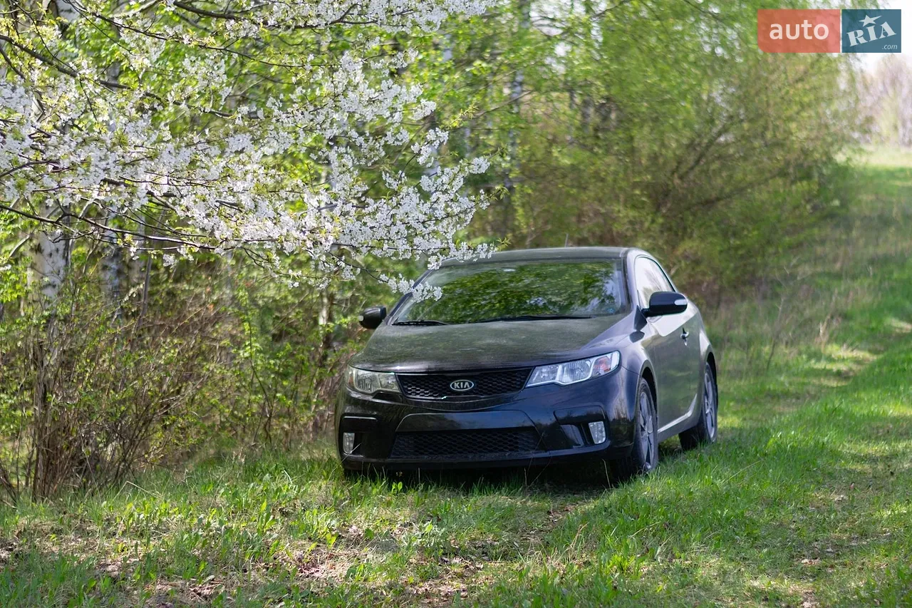 2010 Kia Cerato - мініатюра 18