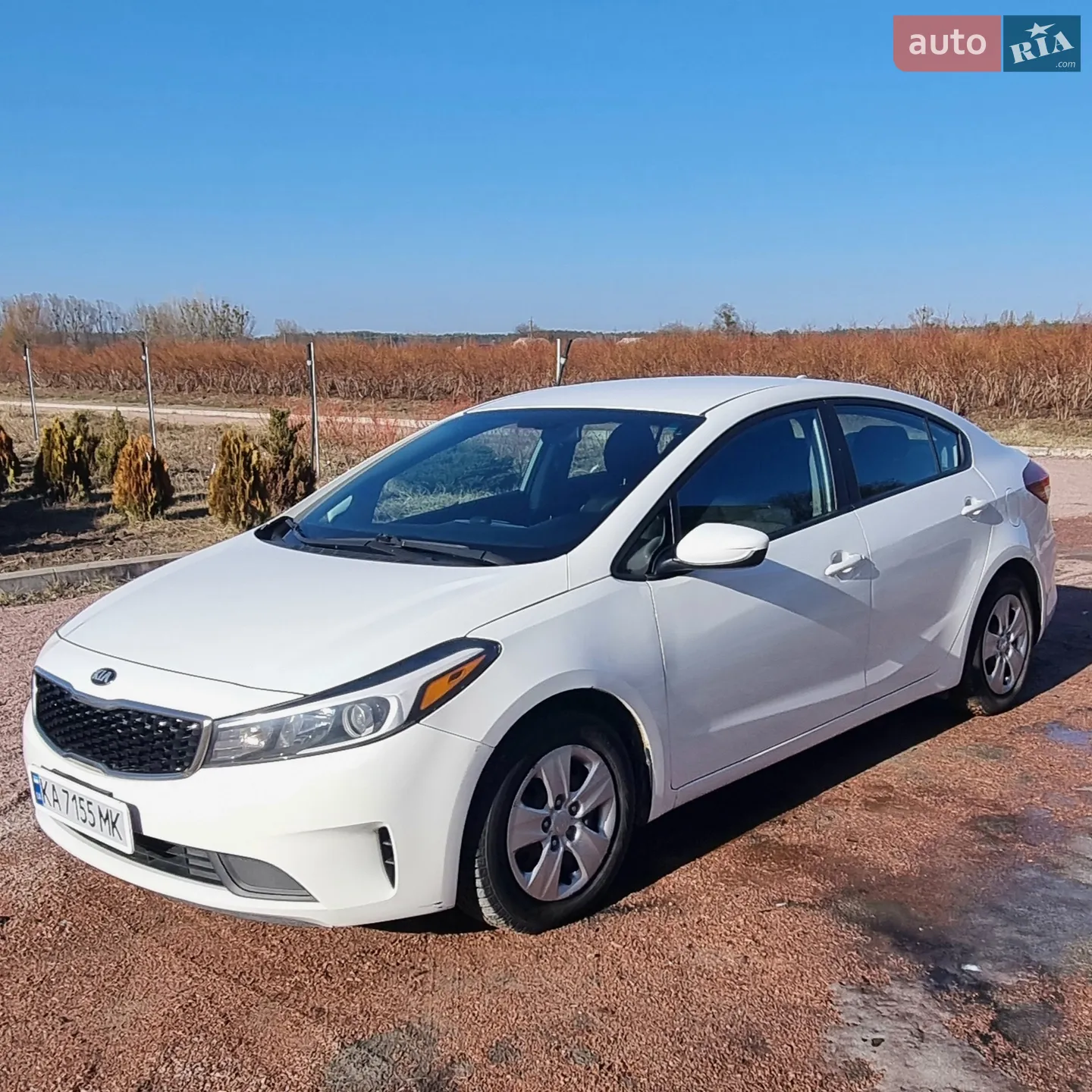 2016 Kia Forte - мініатюра 2
