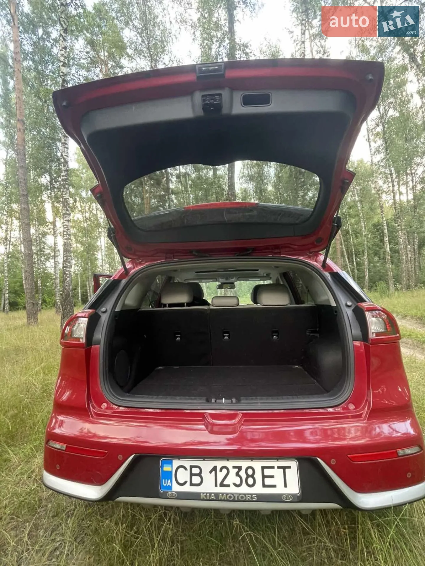 2017 Kia Niro - мініатюра 13