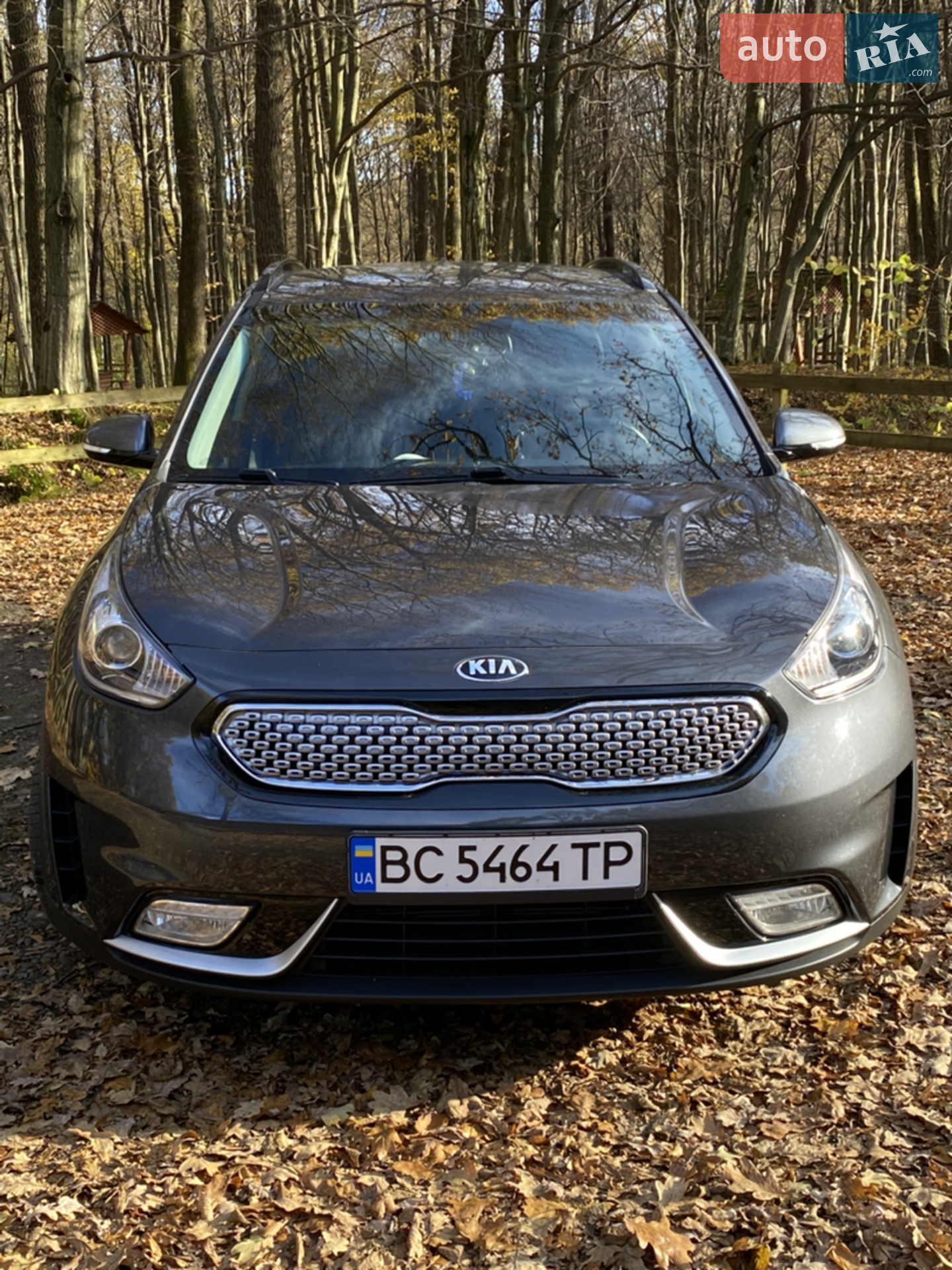 2017 Kia Niro - мініатюра 5