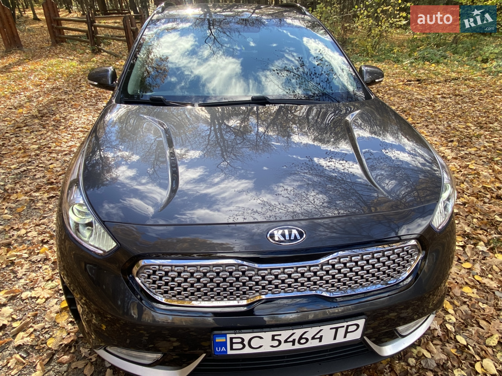 2017 Kia Niro - мініатюра 6