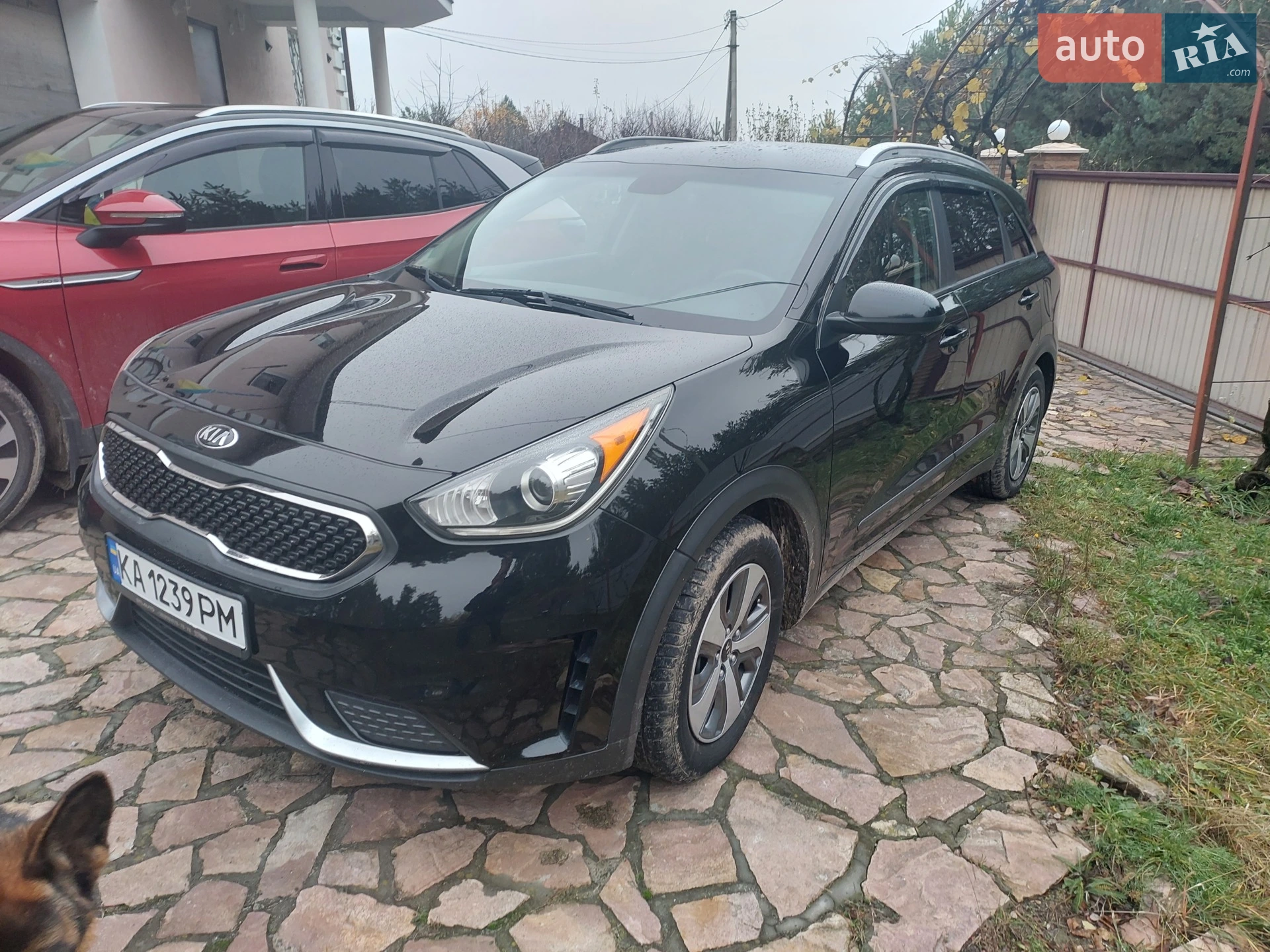 2018 Kia Niro - мініатюра 2