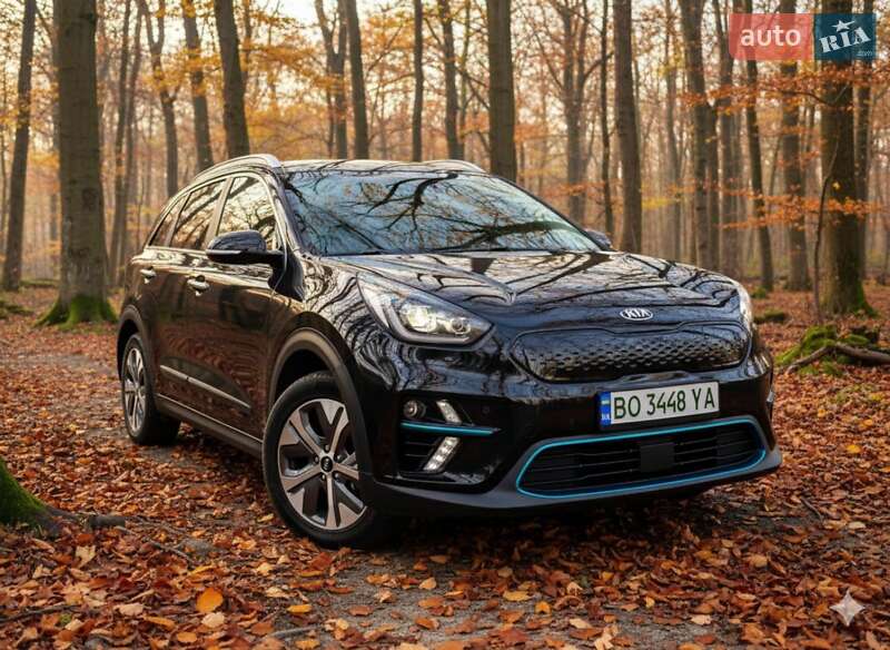 Внедорожник / Кроссовер Kia Niro 2020 в Гусятине