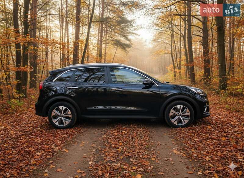 Внедорожник / Кроссовер Kia Niro 2020 в Гусятине