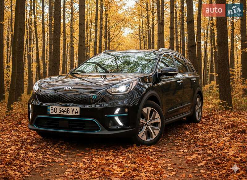 Внедорожник / Кроссовер Kia Niro 2020 в Гусятине