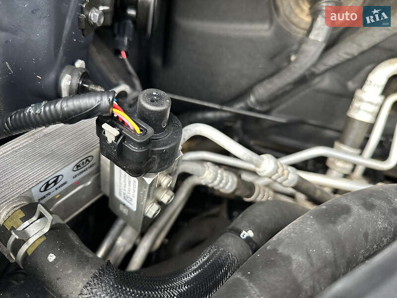 Внедорожник / Кроссовер Kia Niro 2019 в Ровно фото 28 Внедорожник / Кроссовер Kia Niro 2019 в Ровно