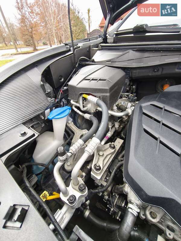 Позашляховик / Кросовер Kia Niro 2020 в Луцьку