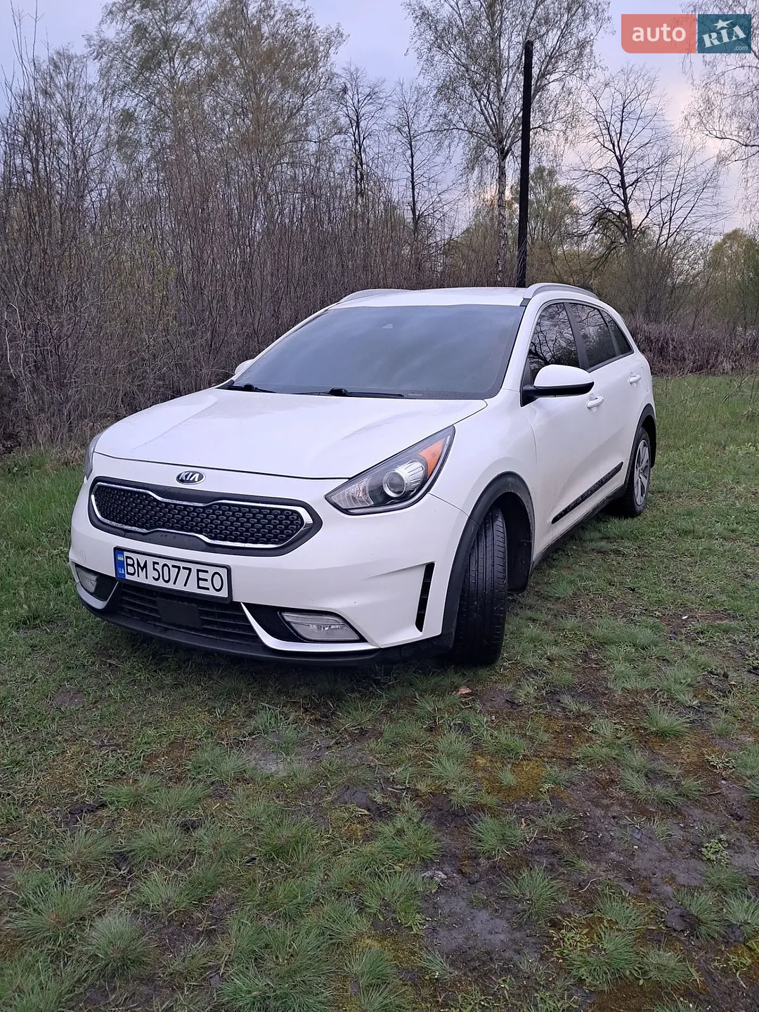 2019 Kia Niro - фото 1