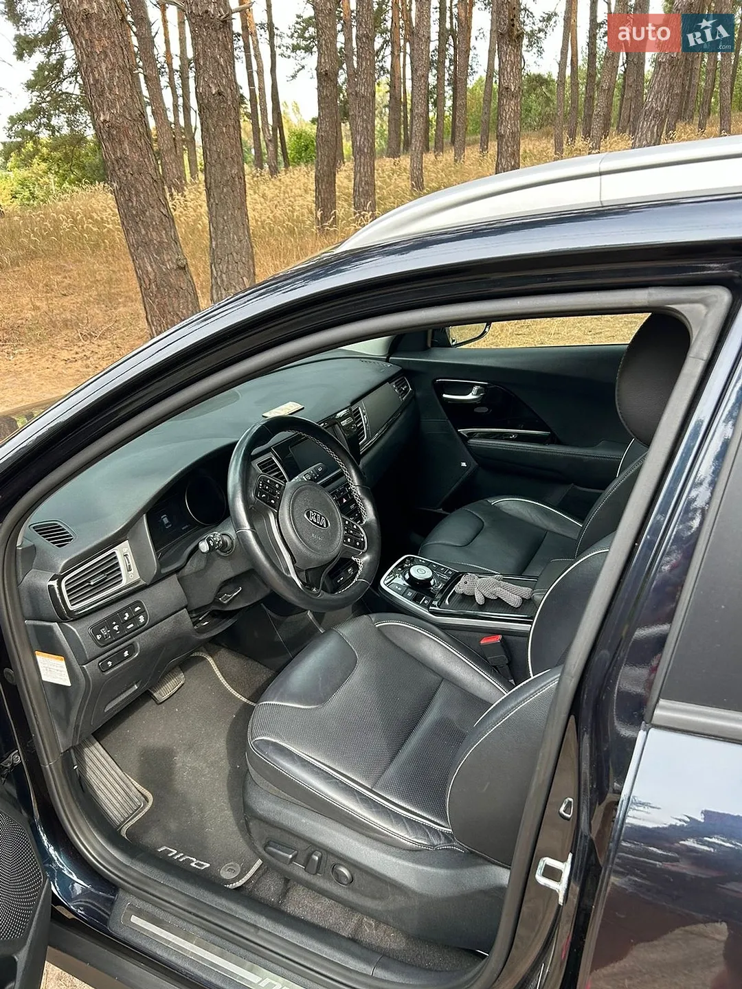 2018 Kia Niro - мініатюра 6