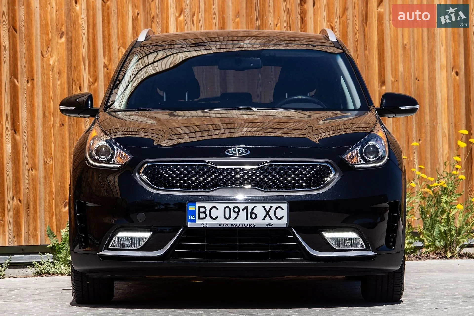 2019 Kia Niro - мініатюра 2