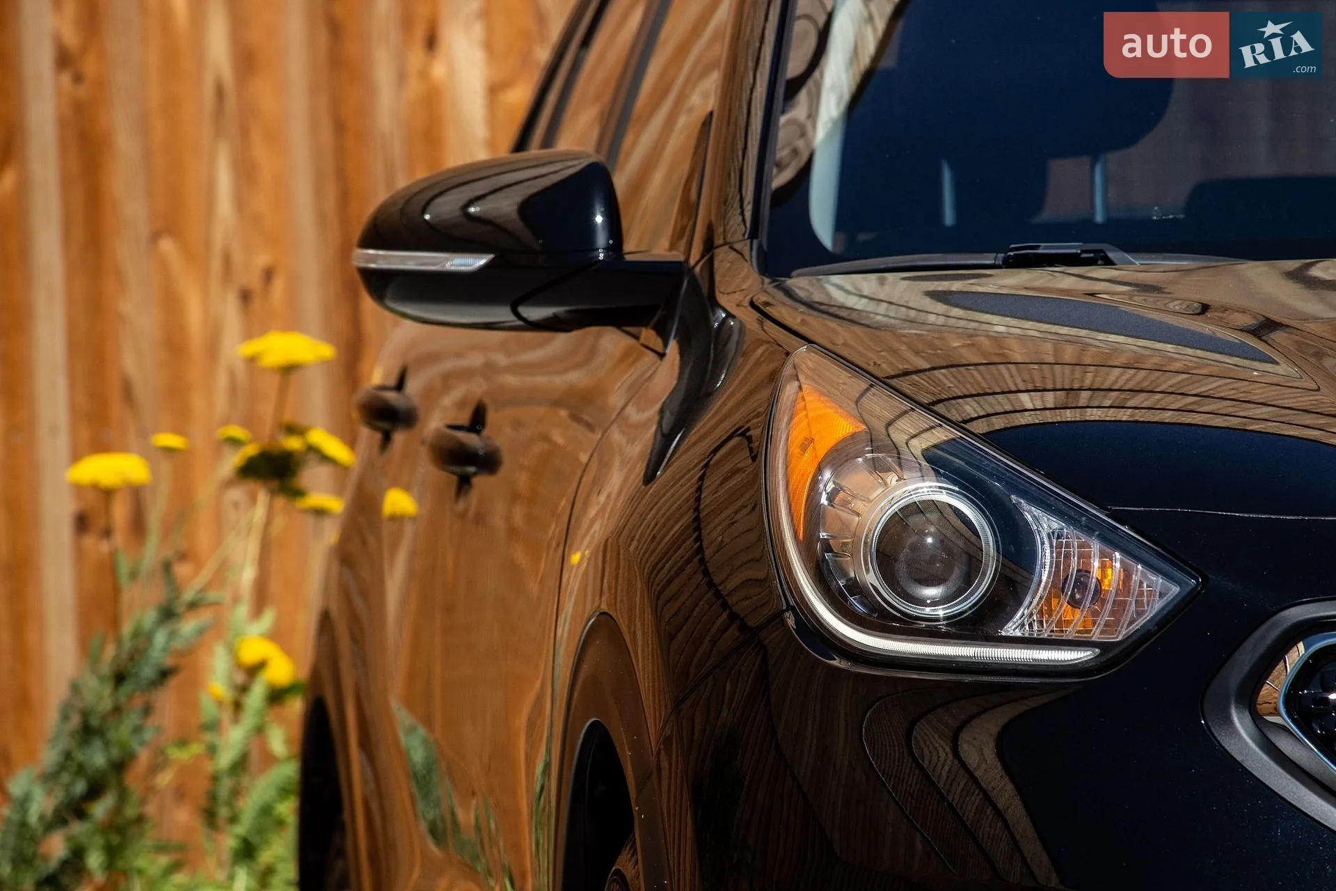 2019 Kia Niro - мініатюра 6