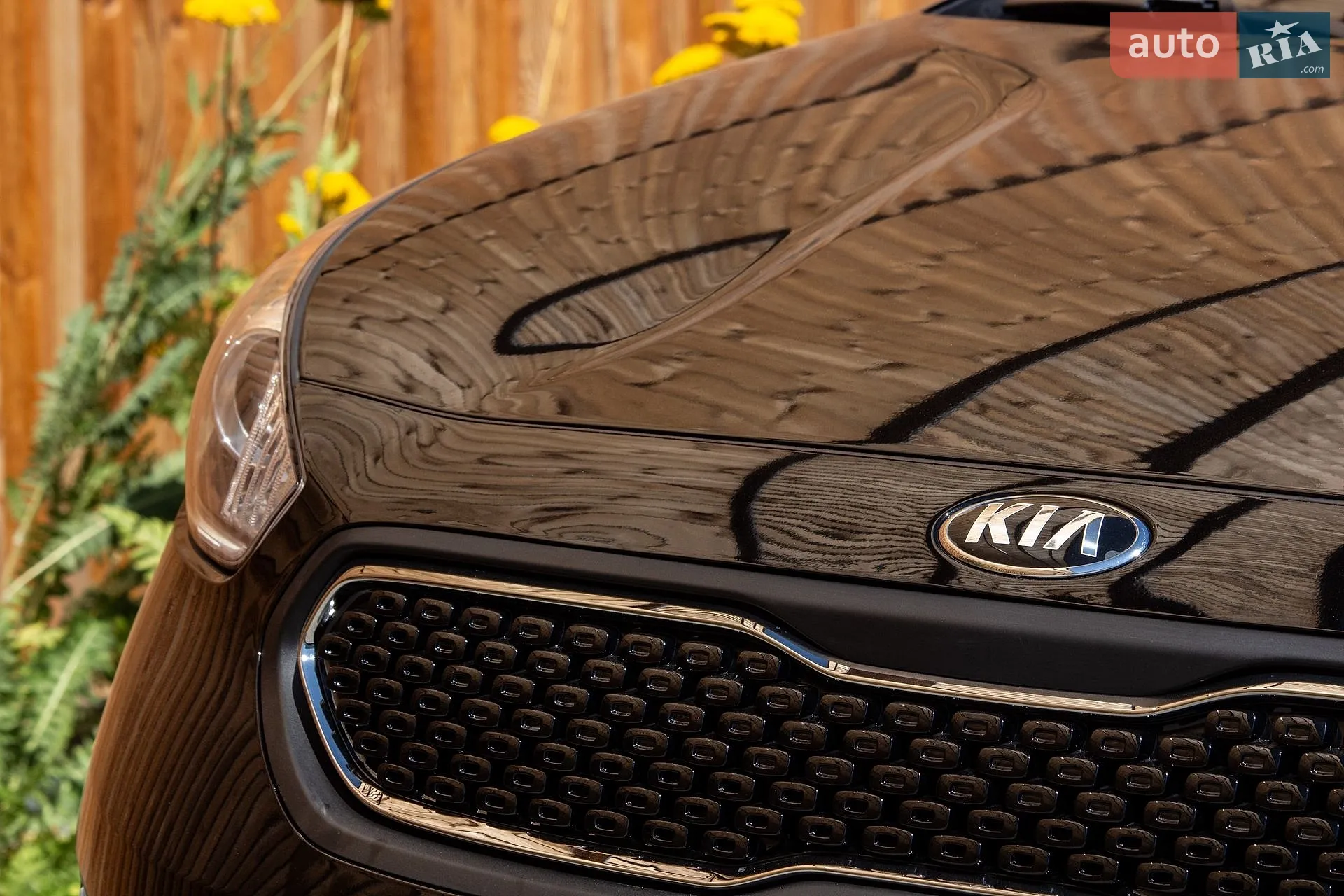 2019 Kia Niro - мініатюра 12