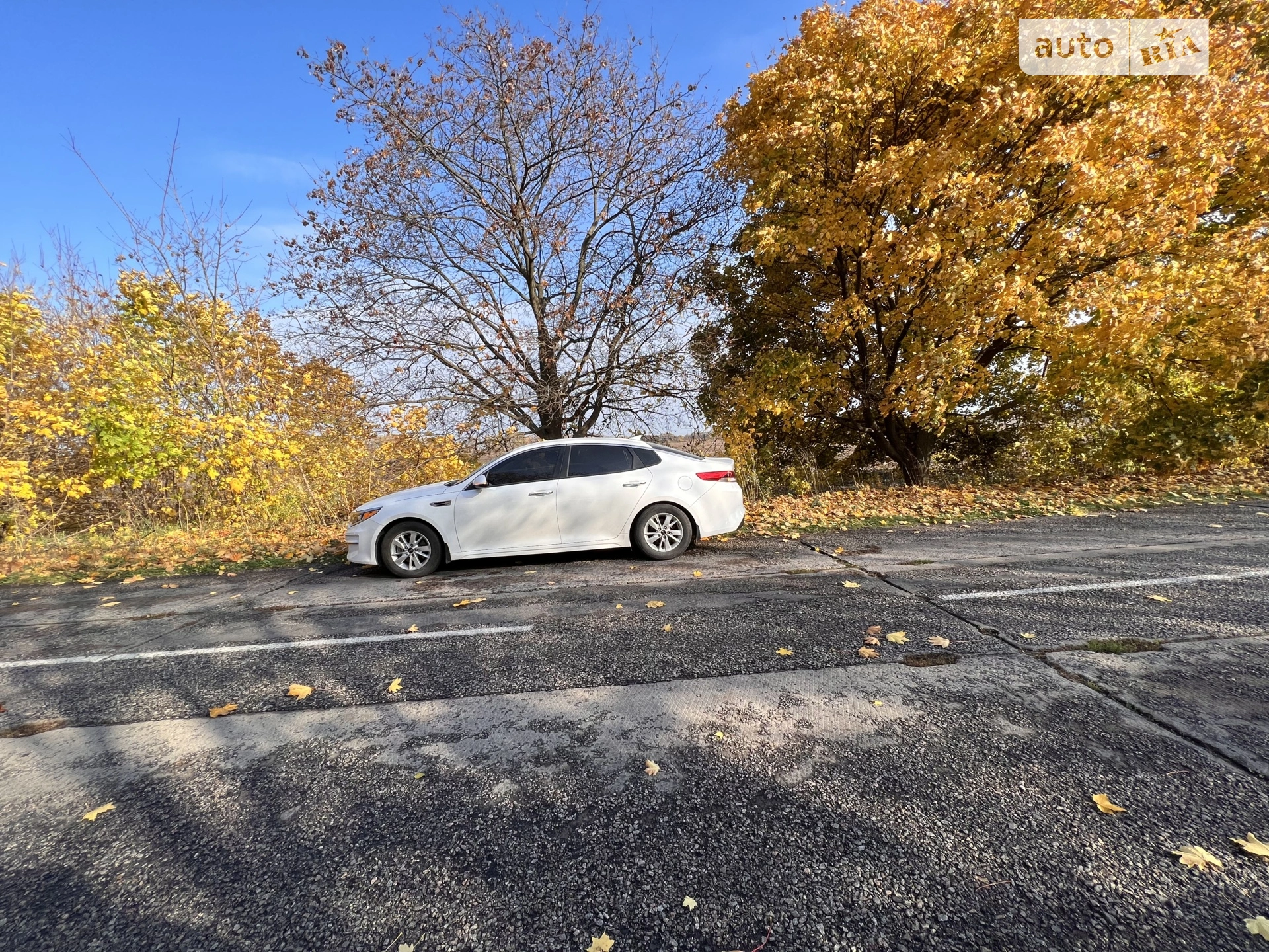 2016 Kia Optima - мініатюра 2