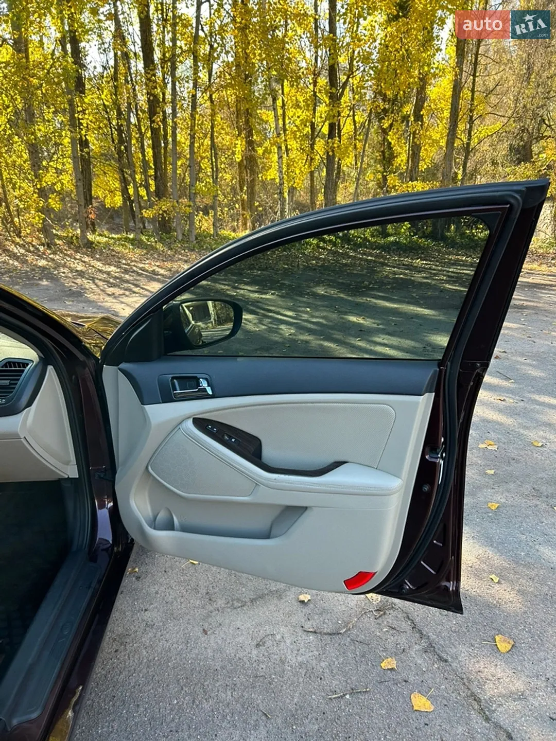 2011 Kia Optima - мініатюра 14