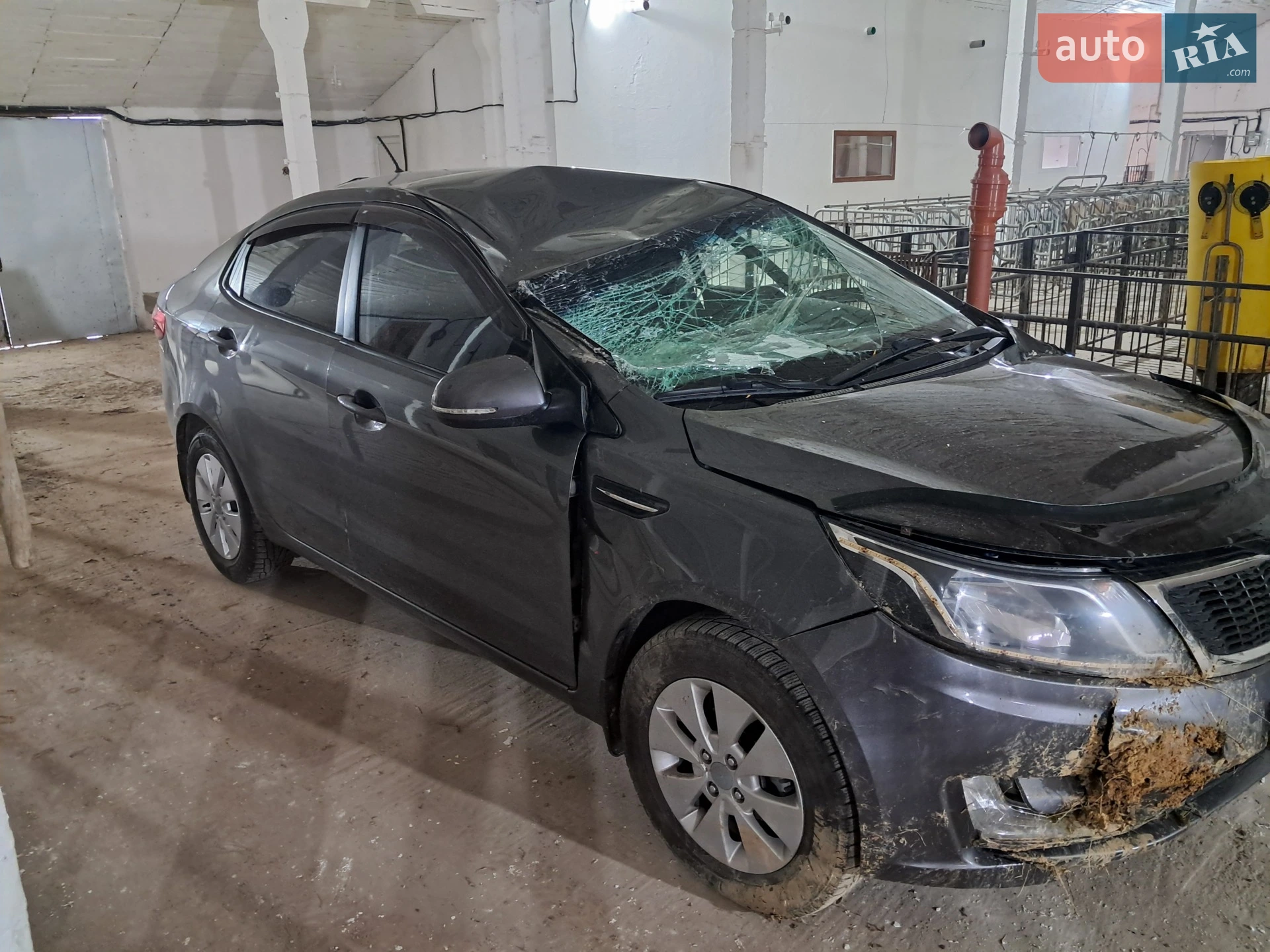 2013 Kia Rio - мініатюра 7