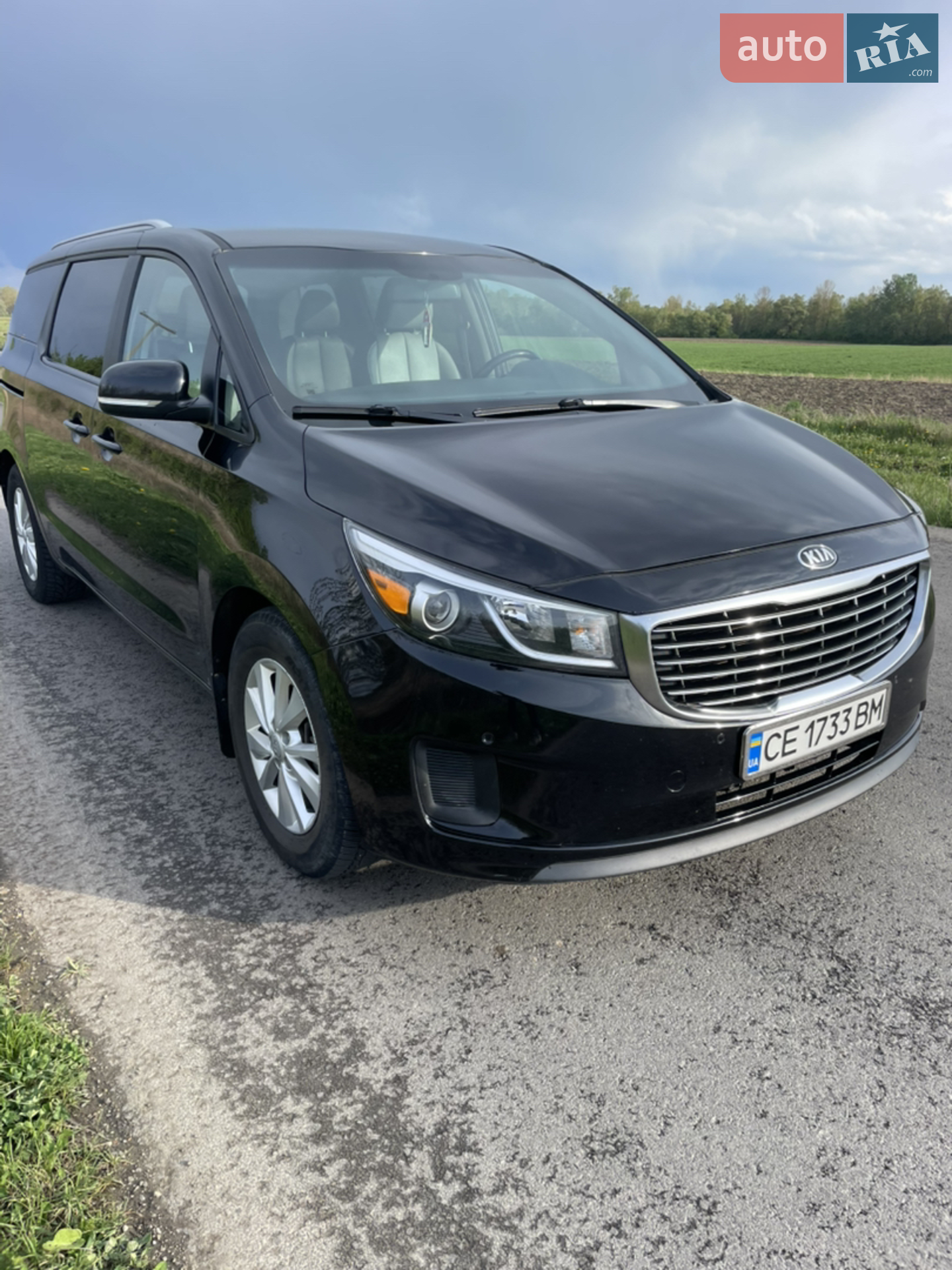 2016 Kia Sedona - мініатюра 2