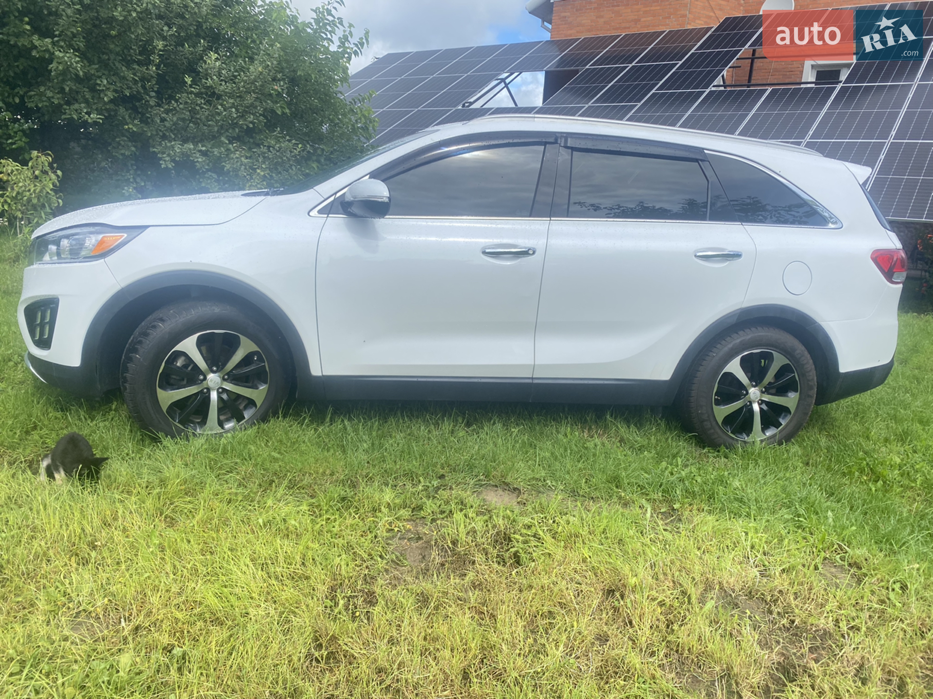 2016 Kia Sorento - мініатюра 6