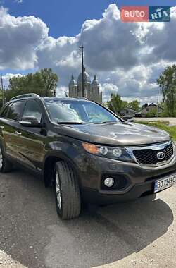 Внедорожник / Кроссовер Kia Sorento 2010 в Тернополе